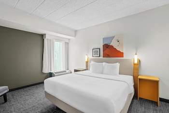 Suite, 1 King Bed