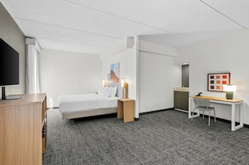 Suite, 1 King Bed