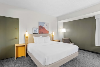 Suite, 1 King Bed