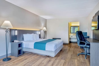 Deluxe Room, 1 King Bed, Non Smoking, Refrigerator & Microwave