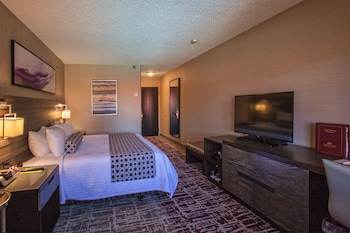 Standard Room, 1 King Bed, Accessible (Mobility, Roll Shwr)