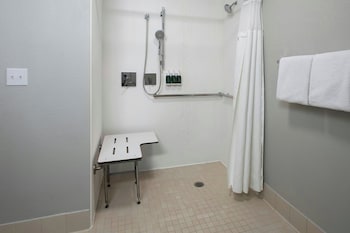 Room, 1 King Bed with Sofa bed (Mobility Accessible, Roll-In Shower)