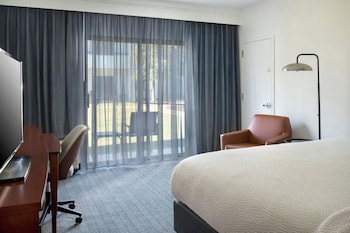 Room, 1 King Bed with Sofa bed (Mobility Accessible, Roll-In Shower)