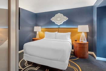 Accessible Deluxe Suite 1 Queen Bed