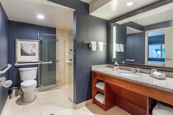 Accessible Deluxe Suite with Roll in Shower 1 Queen Bed