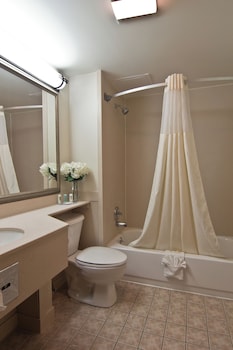 Room, 1 King Bed, Accessible, Non Smoking