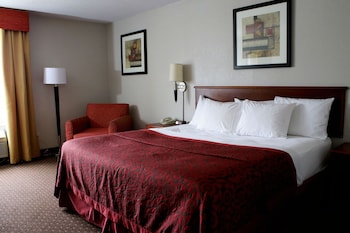 Room, 1 King Bed, Non Smoking