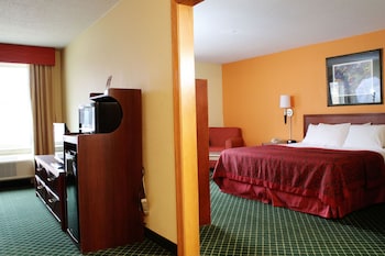 Studio Suite, 1 King Bed with Sofa bed, Non Smoking