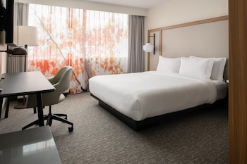 Room, 1 King Bed, Hearing Accessible