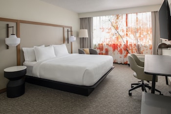 Room, 1 King Bed, Hearing Accessible