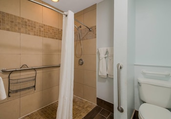 Suite, 1 King Bed, Accessible, Non Smoking (Efficiency)