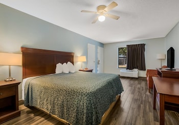 Standard Room, 1 King Bed, Non Smoking