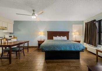 Suite, 1 King Bed with Sofa bed, Non Smoking (Efficiency)