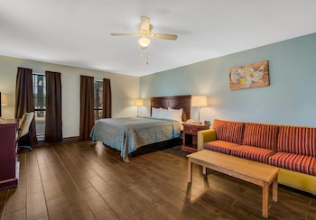 Suite, 1 King Bed, Accessible, Non Smoking (Efficiency)