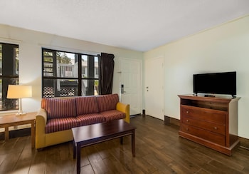 Suite, 1 King Bed with Sofa bed, Non Smoking (Efficiency)