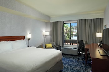 Room, 1 King Bed