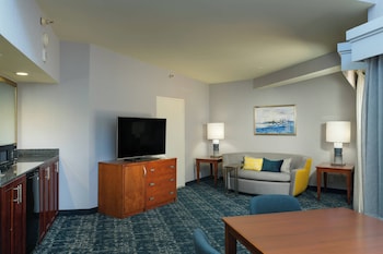 Suite, 1 Bedroom, Roll-in Shower