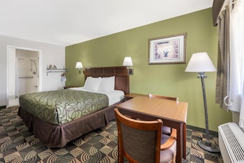 Standard Room, 1 King Bed, Accessible, Non Smoking