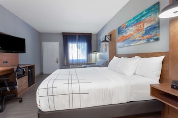 Room, 1 King Bed, Non Smoking, Pool View