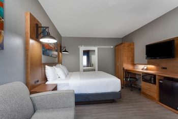 Room, 1 King Bed, Non Smoking