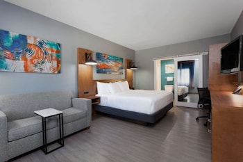 Room, 1 King Bed, Non Smoking