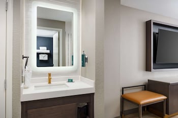 Room, 1 King Bed, Accessible (Roll-In Shower)