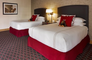 City View Suite Doubles