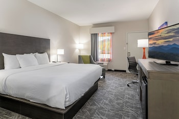 Room, 1 King Bed, Accessible, Non Smoking