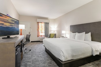 Room, 1 King Bed, Non Smoking