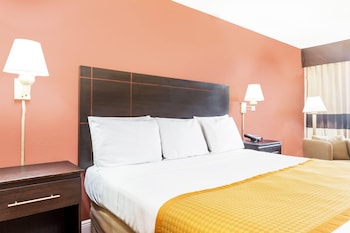 Room, 1 Queen Bed, Accessible, Non Smoking (Mobility, roll-in shower)