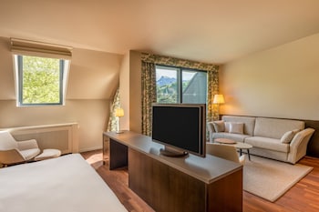 Suite, 1 Bedroom, Park View