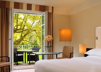 Room, 1 King Bed, Terrace, Park View