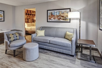 Suite, 1 King Bed with Sofa bed