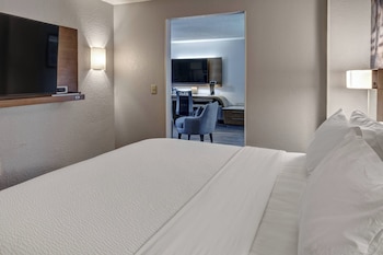 Suite, 1 King Bed with Sofa bed