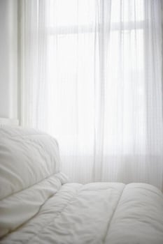 Suite, 1 King Bed, Refrigerator