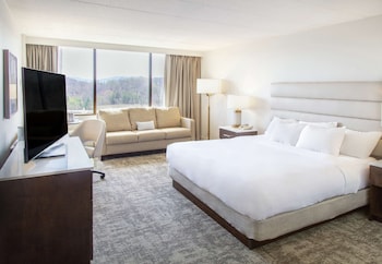 Room, 1 King Bed, Accessible