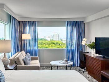 Junior Suite, 1 King Bed, Park View (Junior Suite Park View King)
