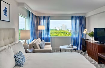 Junior Suite, 1 King Bed, Park View (Junior Suite Park View King)