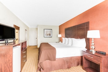 Standard Room, 1 King Bed