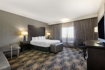 Standard Room, 1 King Bed, Non Smoking, Microwave (with Sofabed)