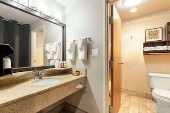 Standard Room, 1 King Bed, Non Smoking, Jetted Tub
