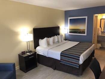 Room, 1 King Bed, Non Smoking (First Floor)