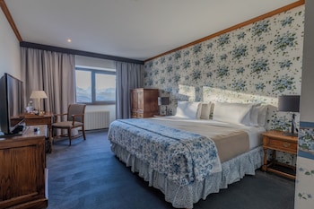 Standard Double Room, Mountain View