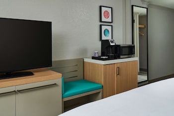Room, 1 King Bed, Accessible (Roll-In Shower)