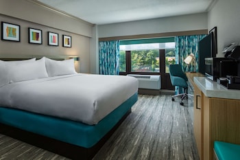 Room, 1 King Bed, Accessible (Roll-In Shower)