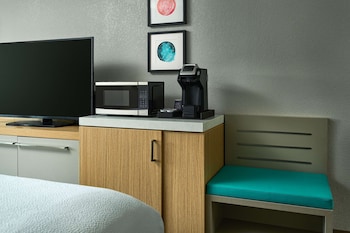 Room, 1 King Bed, Accessible (Roll-In Shower)
