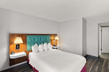 Room, 1 Double Bed, Accessible (Roll-in Shower)