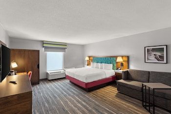 Room, 1 King Bed with Sofa bed, Non Smoking