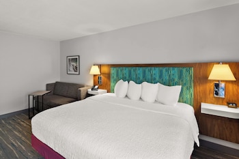 Room, 1 King Bed with Sofa bed, Non Smoking