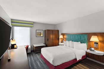 Room, 1 Double Bed, Accessible (Roll-in Shower)